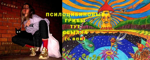 стаф Алексеевка