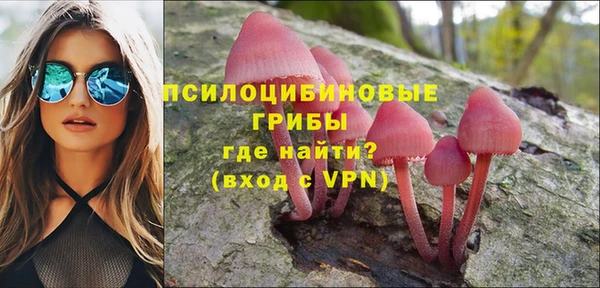стаф Алексеевка