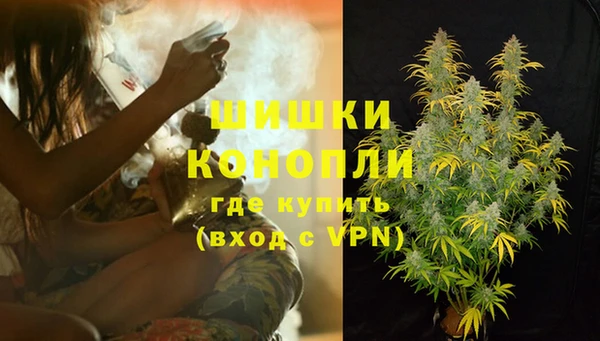 ГАЛЛЮЦИНОГЕННЫЕ ГРИБЫ Алексин