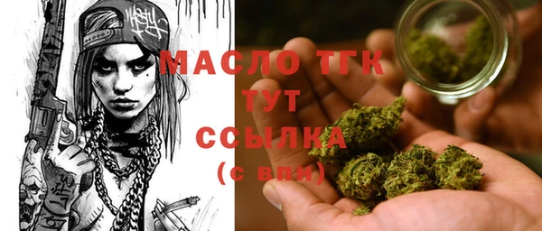 дмт Ельня