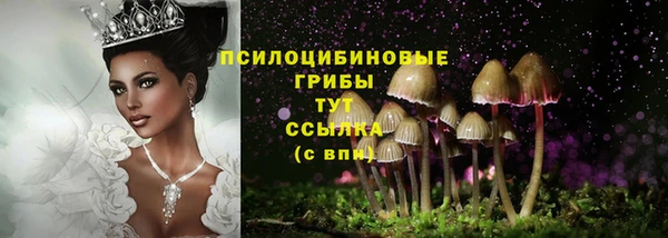 стаф Алексеевка