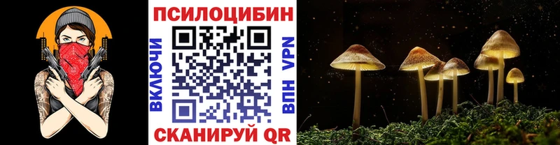 что такое наркотик  Талица  Псилоцибиновые грибы прущие грибы 