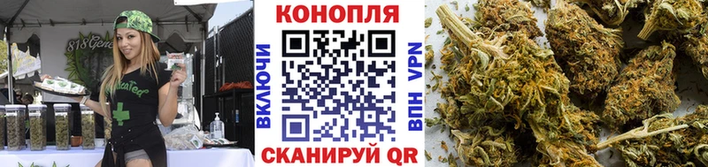 где купить наркоту  Талица  Шишки марихуана марихуана 